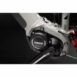 BICI HAIBIKE ALLTRAIL 5 29'' (2022) 9 BICI HAIBIKE ALLTRAIL 5 29'' (2022) -Negozio al dettaglio Biciclette bici haibike alltrail 5 29 2022 3